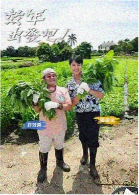 画说访谈栏目推荐